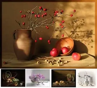 Photowork By Yelena Reznik