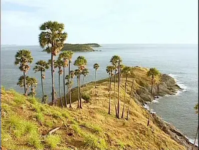 Золотой глобус. 22. Таиланд