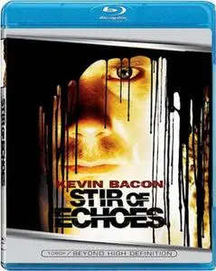 Stir of Echoes (1999)