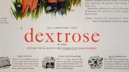 FAT: A Documentary (2019)