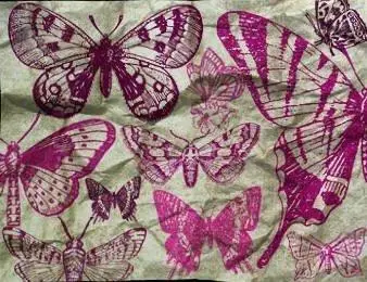 Butterflies brushes for Photoshop