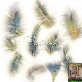 Feathers Brushes