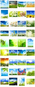 Super nature collection. All my posts