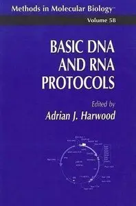 Basic DNA and RNA Protocols (Methods in Molecular Biology) by Adrian J. Harwood