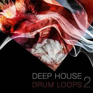 SPF Samplers Deep House Drum Loops 2 WAV