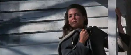 A Walk in the Spring Rain (1970) 