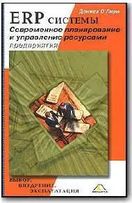 Дэниел О'Лири, ERP системы