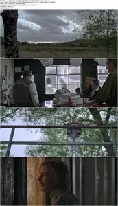We Are What We Are (2013)