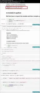 The Complete Python Programmer Bootcamp 2020