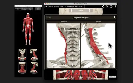 Muscle System Pro III v3.0 Mac OS X
