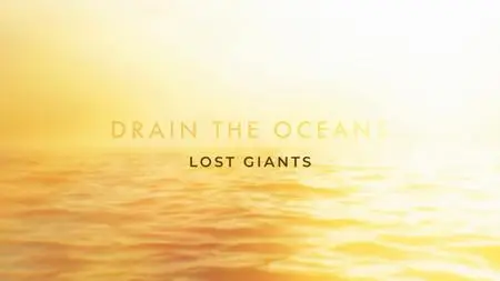 NG. - Drain the Oceans: Lost Giants (2019)