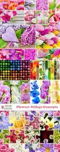 Photos - Flowers Collage Concepts