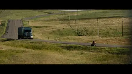 Into the Wild (2007)