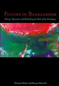 Floods in Bangladesh: History, Dynamics and Rethinking the Role of the Himalayas (Repost)