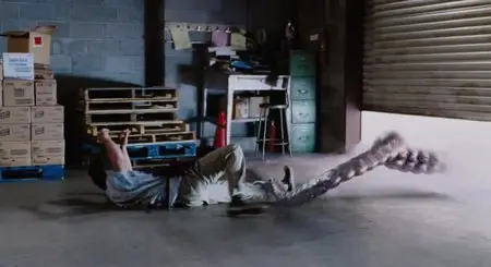 The Mist (2007)