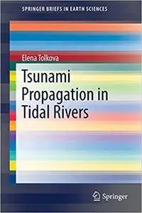 Tsunami Propagation in Tidal Rivers