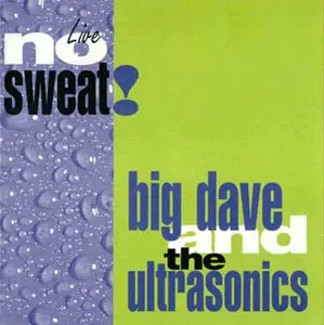 Big Dave & The Ultrasonics - Discography 3 Alben (1994-1999)