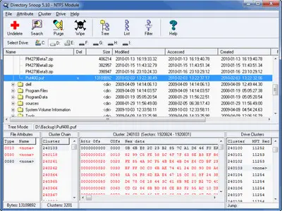 Briggsoft Directory Snoop v5.11