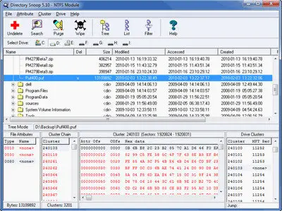 Briggsoft Directory Snoop v5.11 