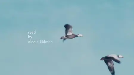 A World of Calm S01E03
