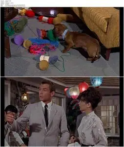 The Ugly Dachshund (1966)