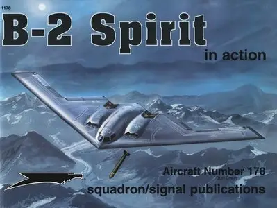B-2 Spirit: In Action