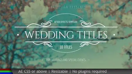 Wedding Titles - Project for After Effects (VideoHive)