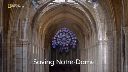 NG. - Saving Notre Dame (2020)
