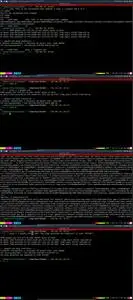 Applied Linux Command Line and Shell Scripting Zero to Elite