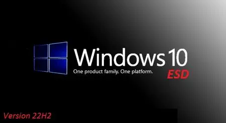 Windows 10 x64 22H2 Build 19045.2913 10in1 OEM ESD en-US APRIL 2023 Preactivated