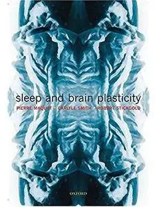 Sleep and Brain Plasticity