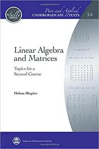 Linear Algebra and Matrices: Topics for a Second Course (Repost)