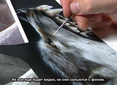 Pro Airbrush & Paintbrush Techniques - Wolf [repost]