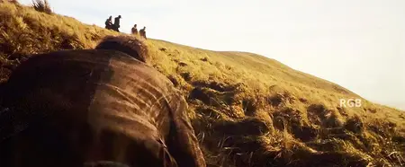 Tornado (2025)