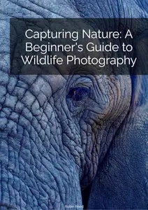 Capturing Nature: A Beginner's Guide to Wildlife Photography