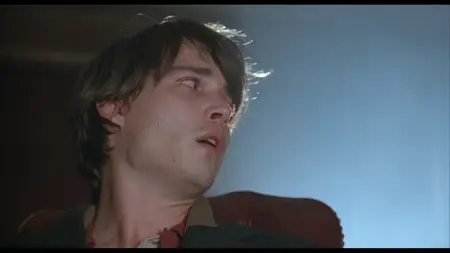 Arizona Dream (1993)