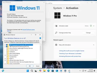 Windows 11 Pro 24H2 Build 26100.4946 (No TPM Required) With Office 2024 Pro Plus Multilingual Preactivated August 2025