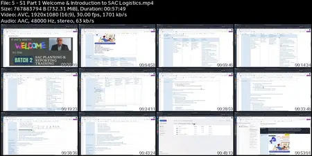 SAC Planning & Reporting - Complete Hands-On Training
