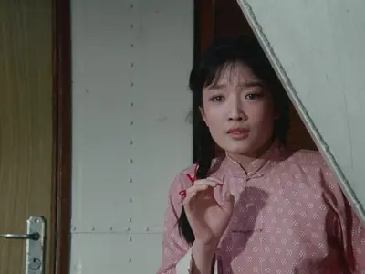 Evening Rain (1980)