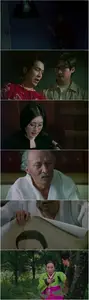 The Circle (2003)