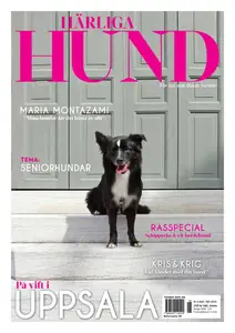 Härliga Hund - 13 Augusti 2025