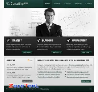 FlashMint 2193 Consulting group flash template