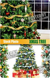 UHQ Stock Photo - Xmas Tree