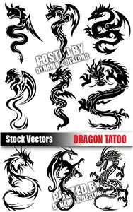 Dragon Tatoo - Stock Vectors