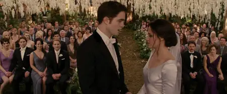 The Twilight Saga: Breaking Dawn - Parte 1 (2011)