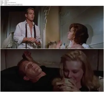 Sweet Bird of Youth (1962)