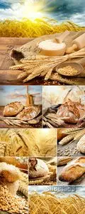 Stock Photo - Bread & Wheat Ears