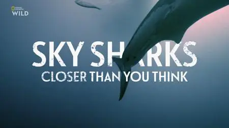 NG. - Sky Sharks: Closer Than You Think (2022)