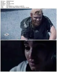 Tiger Raid (2016)