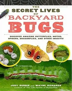 The Secret Lives of Backyard Bugs